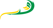Cavaliers Netball